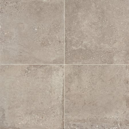 Daltile Sample Only of 24481PK Natural Gray